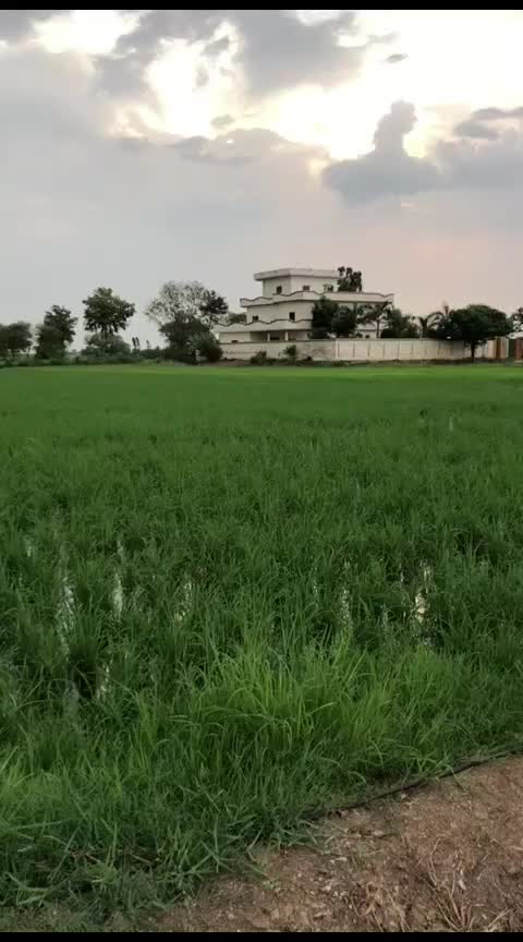 @chadeelwarraich53