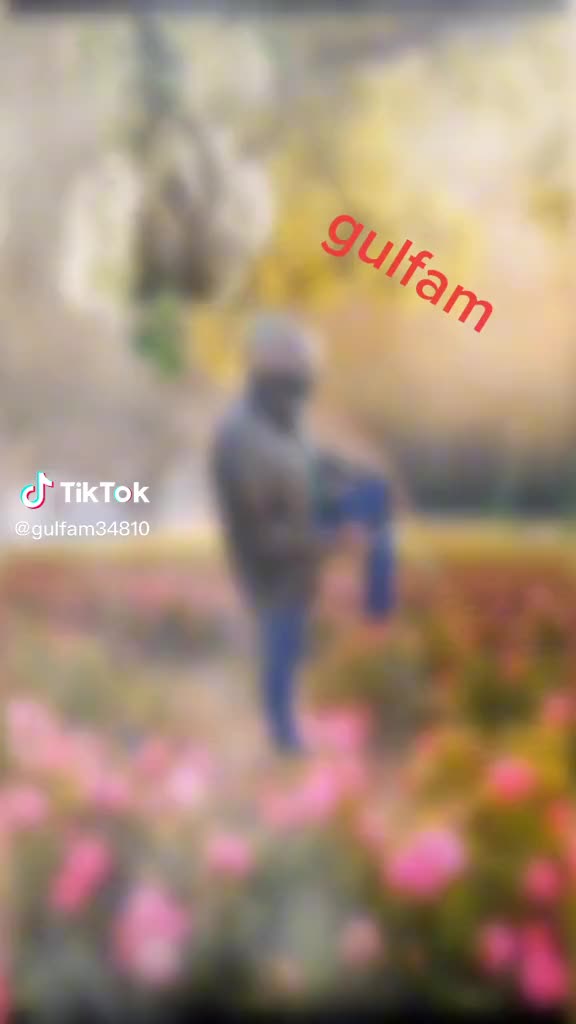 @GULFAM:G-Thailand