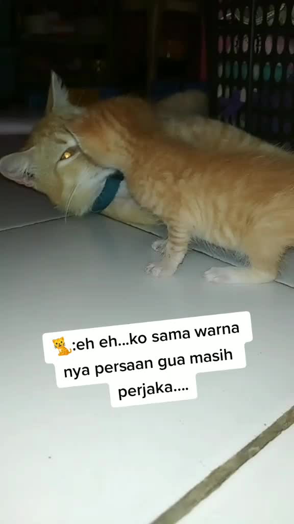 @beby all