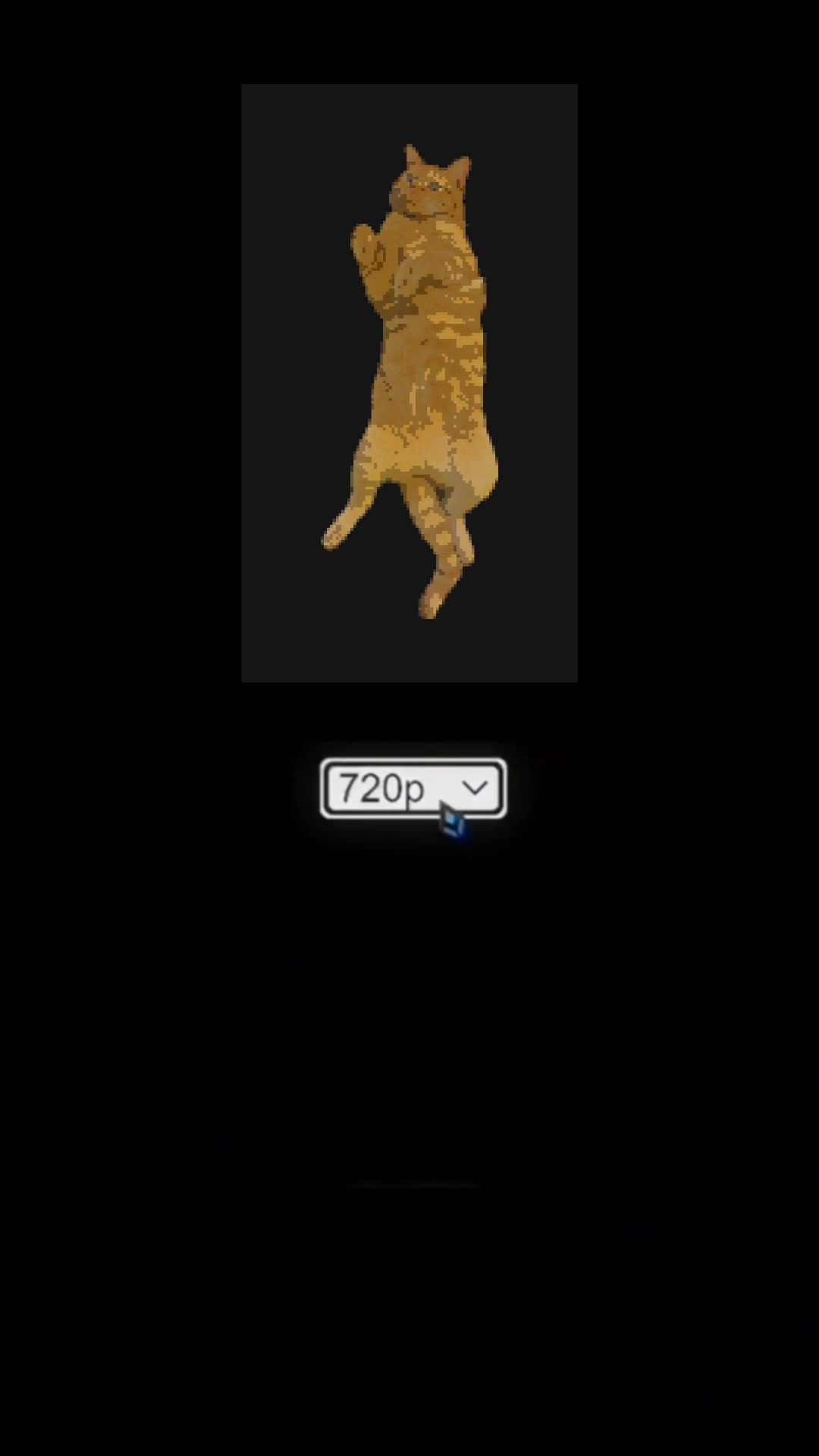 @cowboycatdad