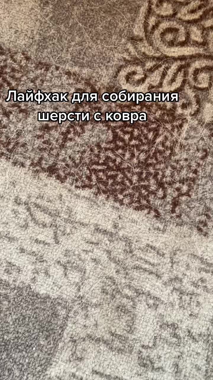 @белая сова