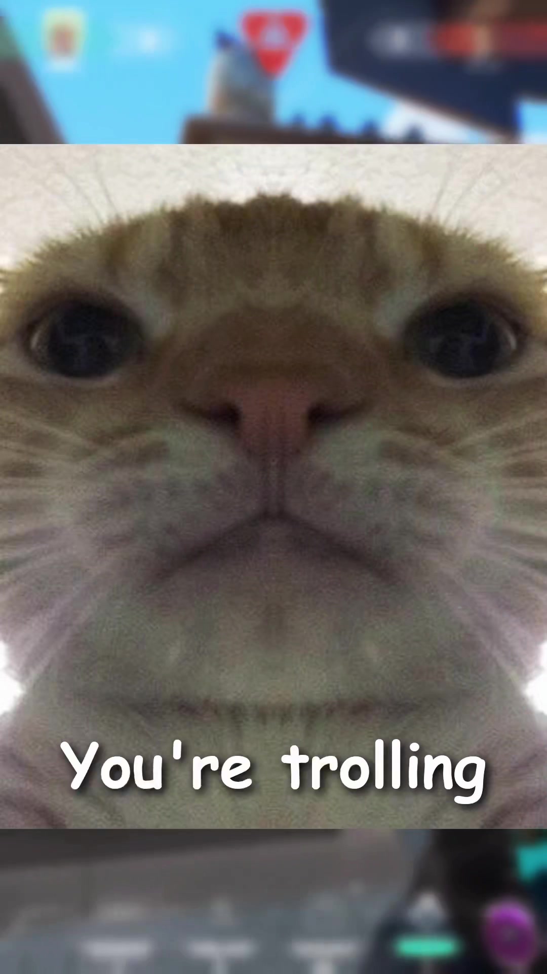 @AliceNina