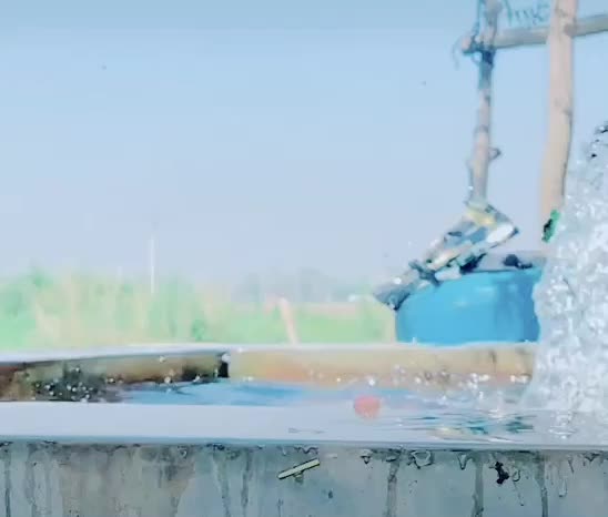 @💪ब्राह्मण😎साहब👑