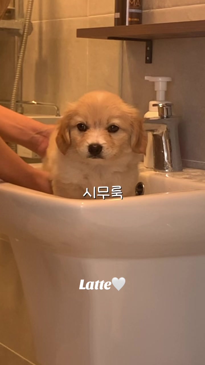 @온리주연JOOYEON