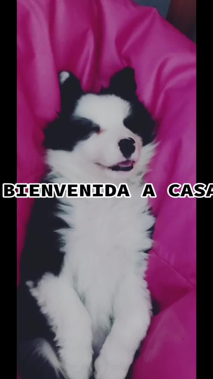 @Ro