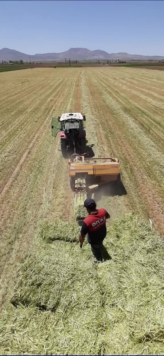 @Oğuzhan Özmen
