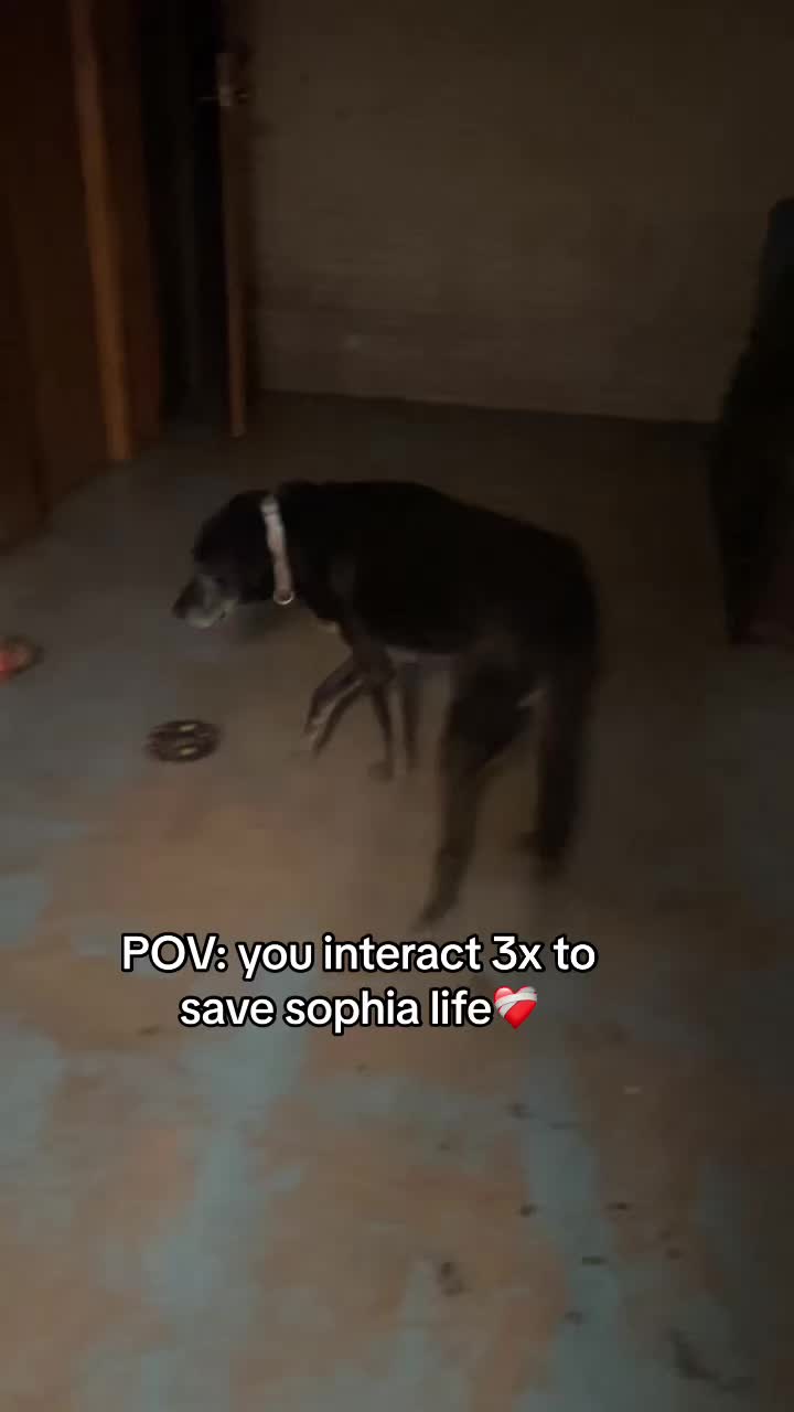 @emily