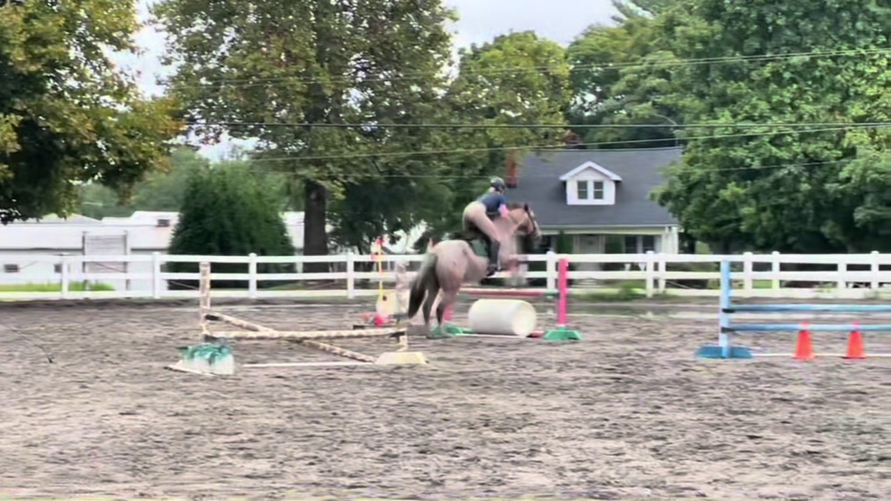 @Equestrian 🐴🐎
