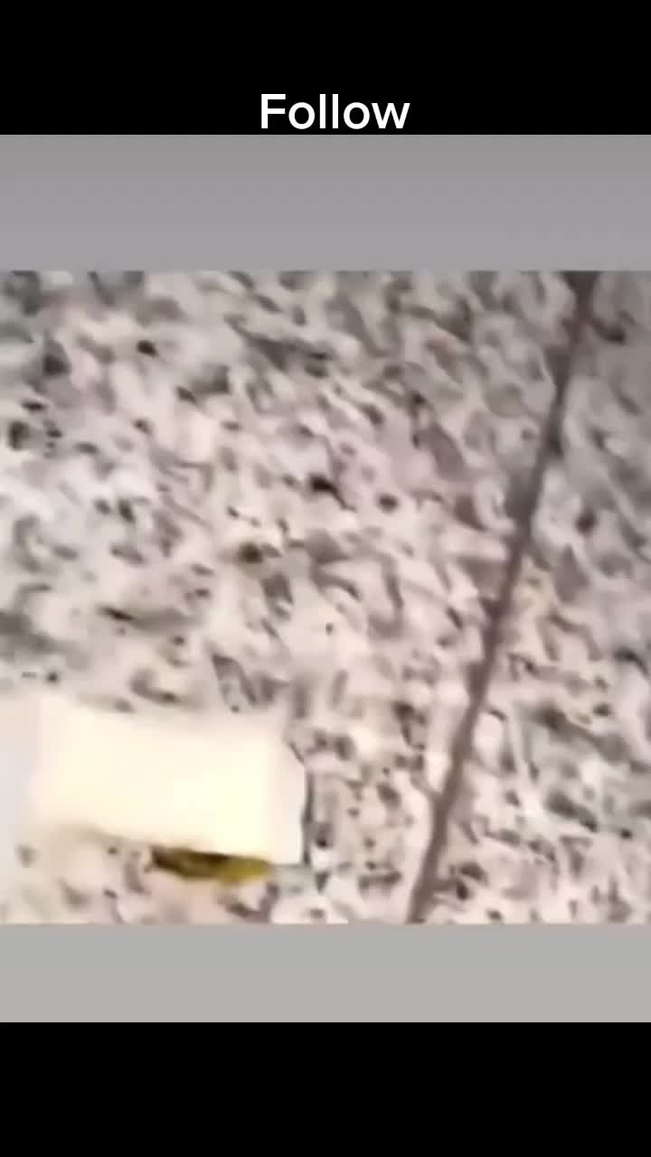 @MemeCutsHub