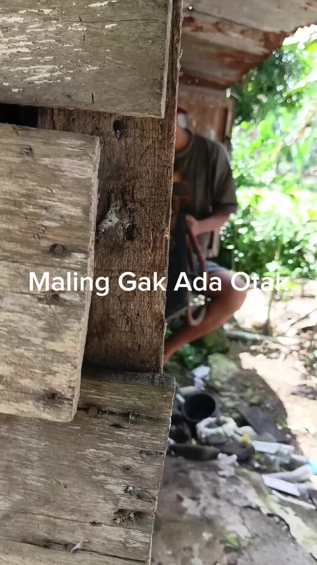 @Arif Reza Sasmita