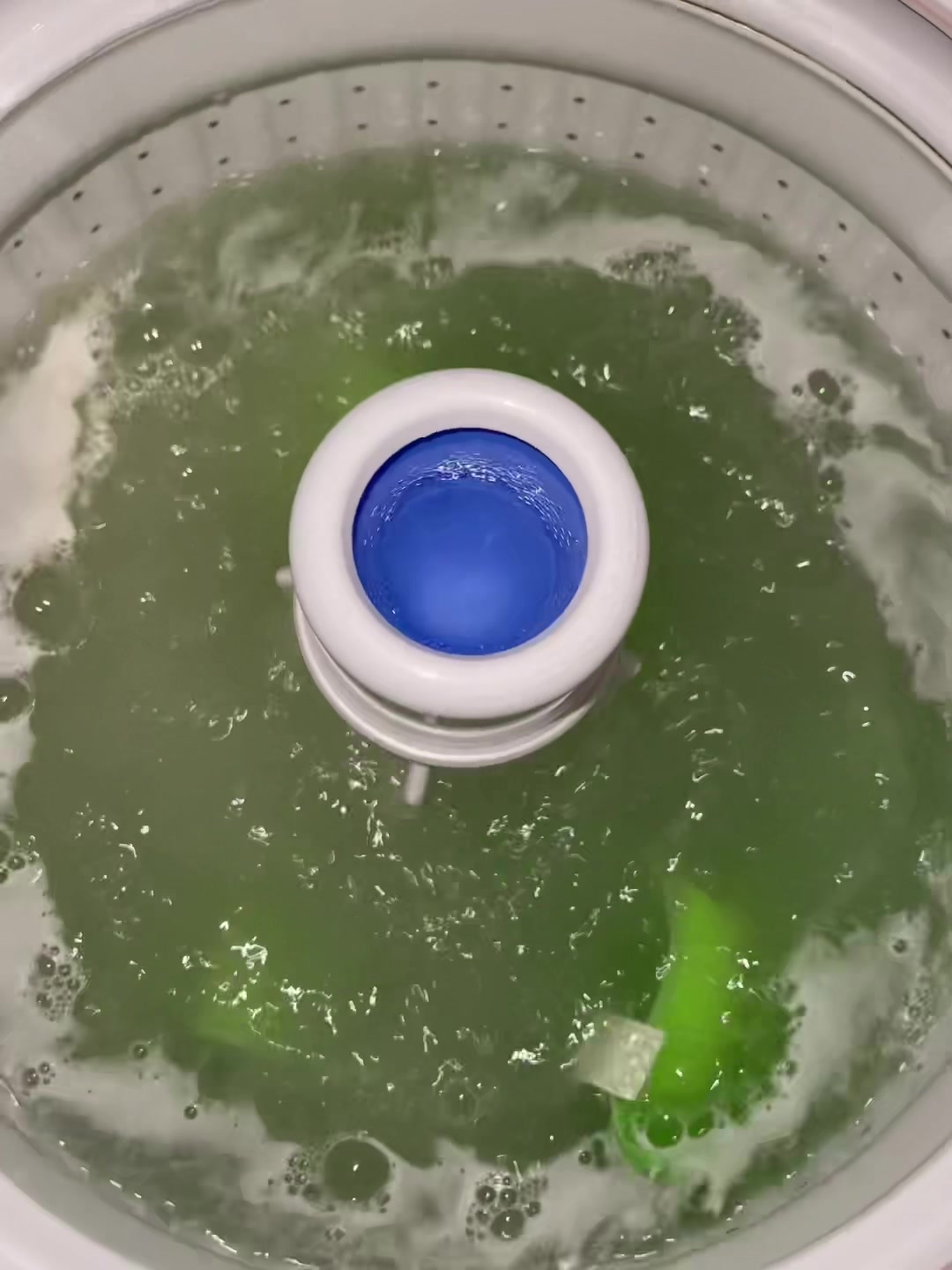 @aquaticblues