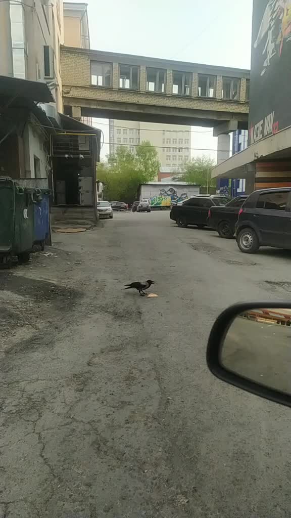 @Не смотрящий ТВ