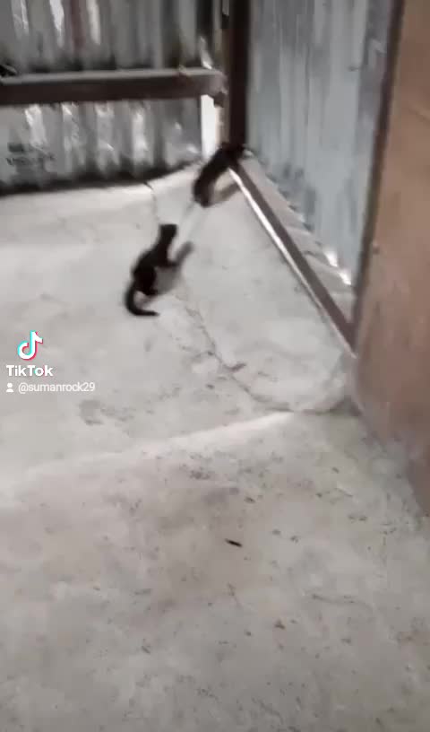 @๐๐๐
ผ๐
ฐ๐
ฝ ๐๐
พ๐
ฒ๐
บ