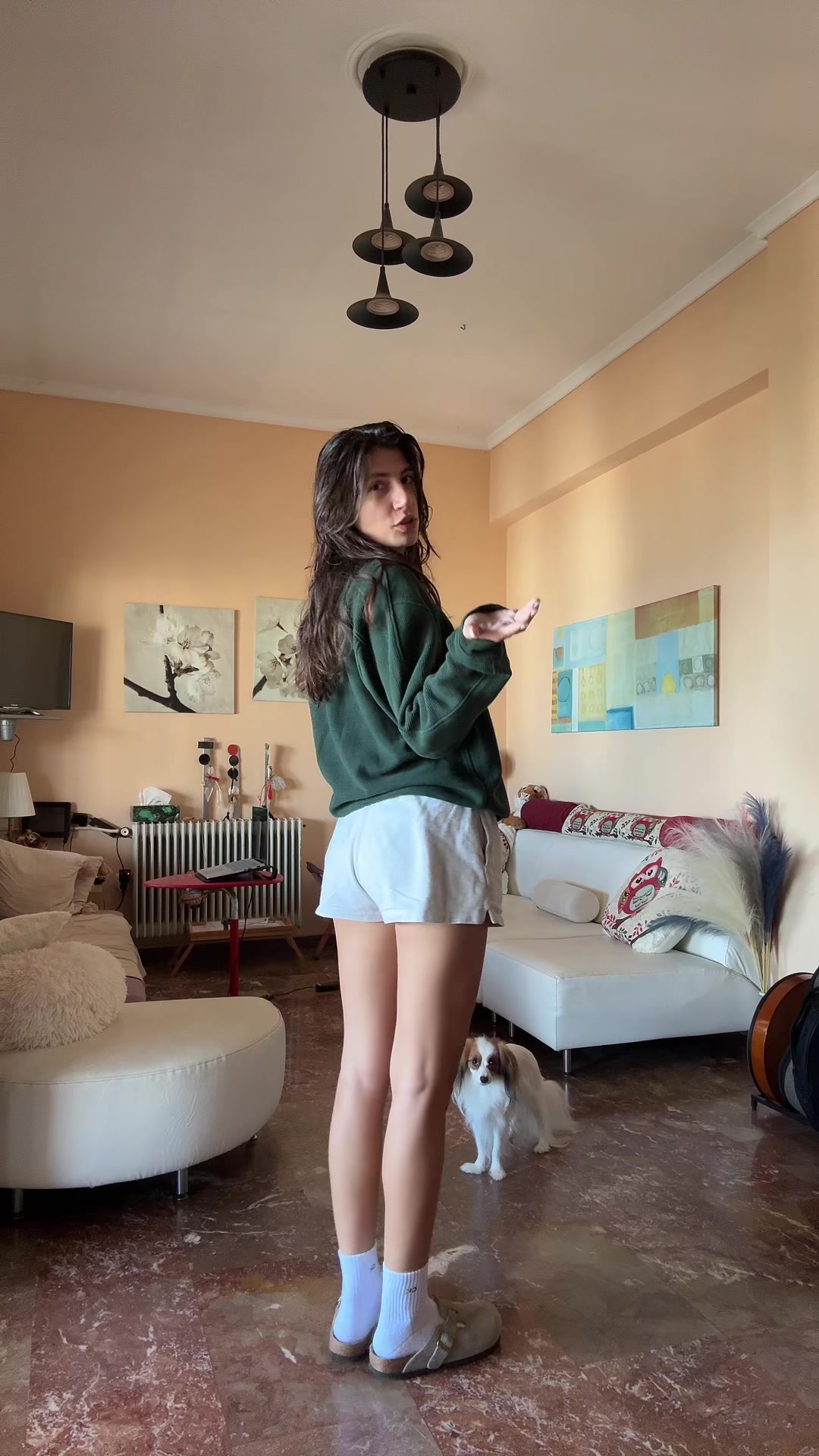 @aphvlogs