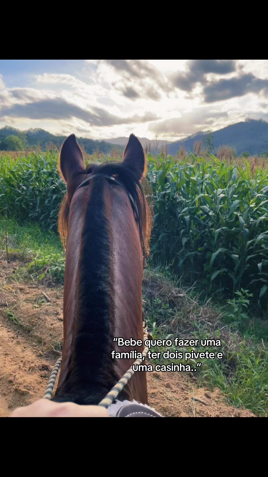 @Dona do Colorado🤎🐴