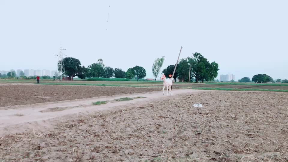 @Aman Benipal