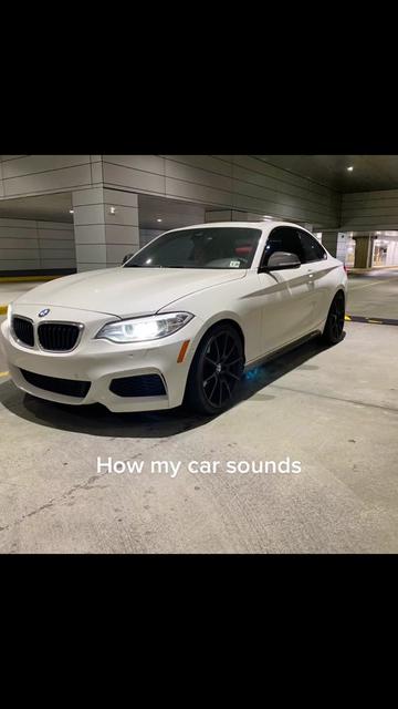 @Carlos R