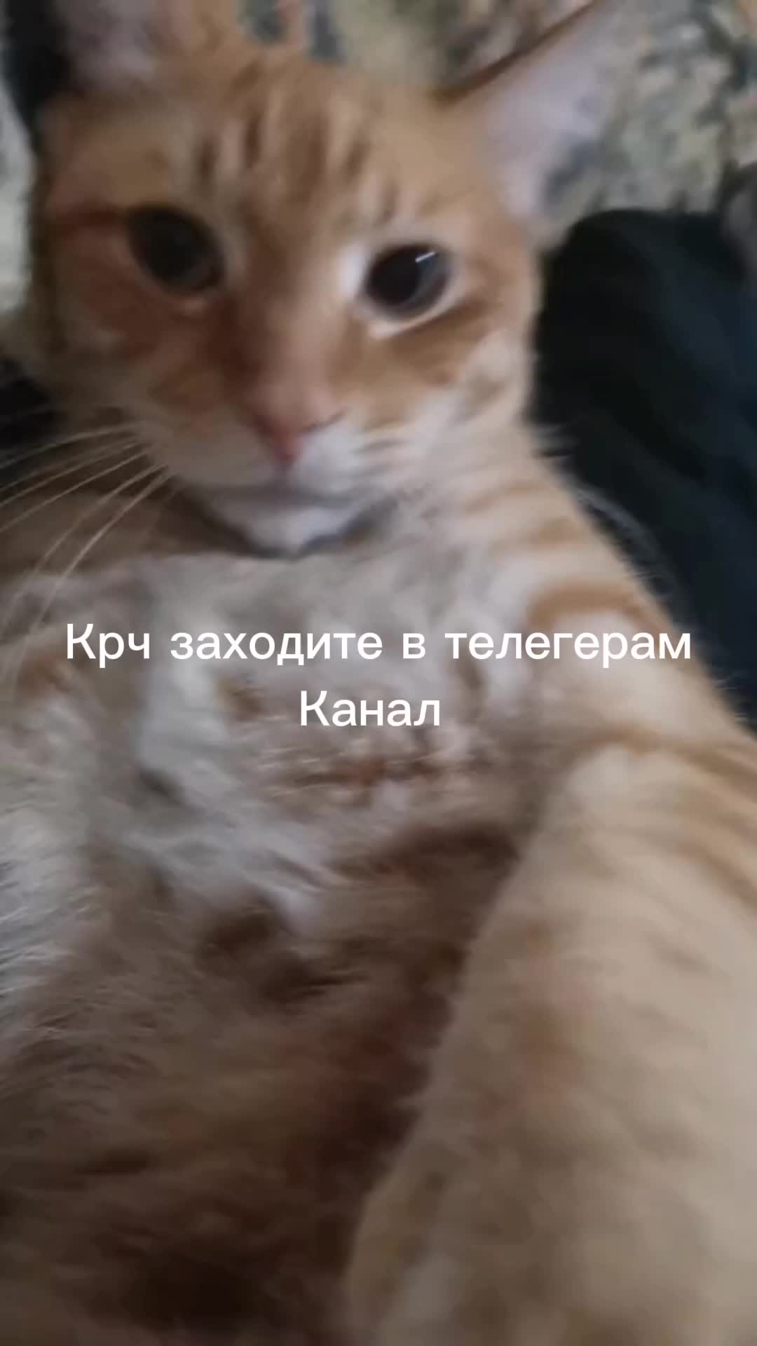 @Пбиджик