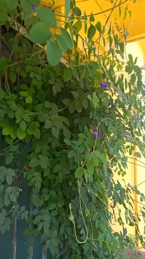 @Sandhyarani Parida