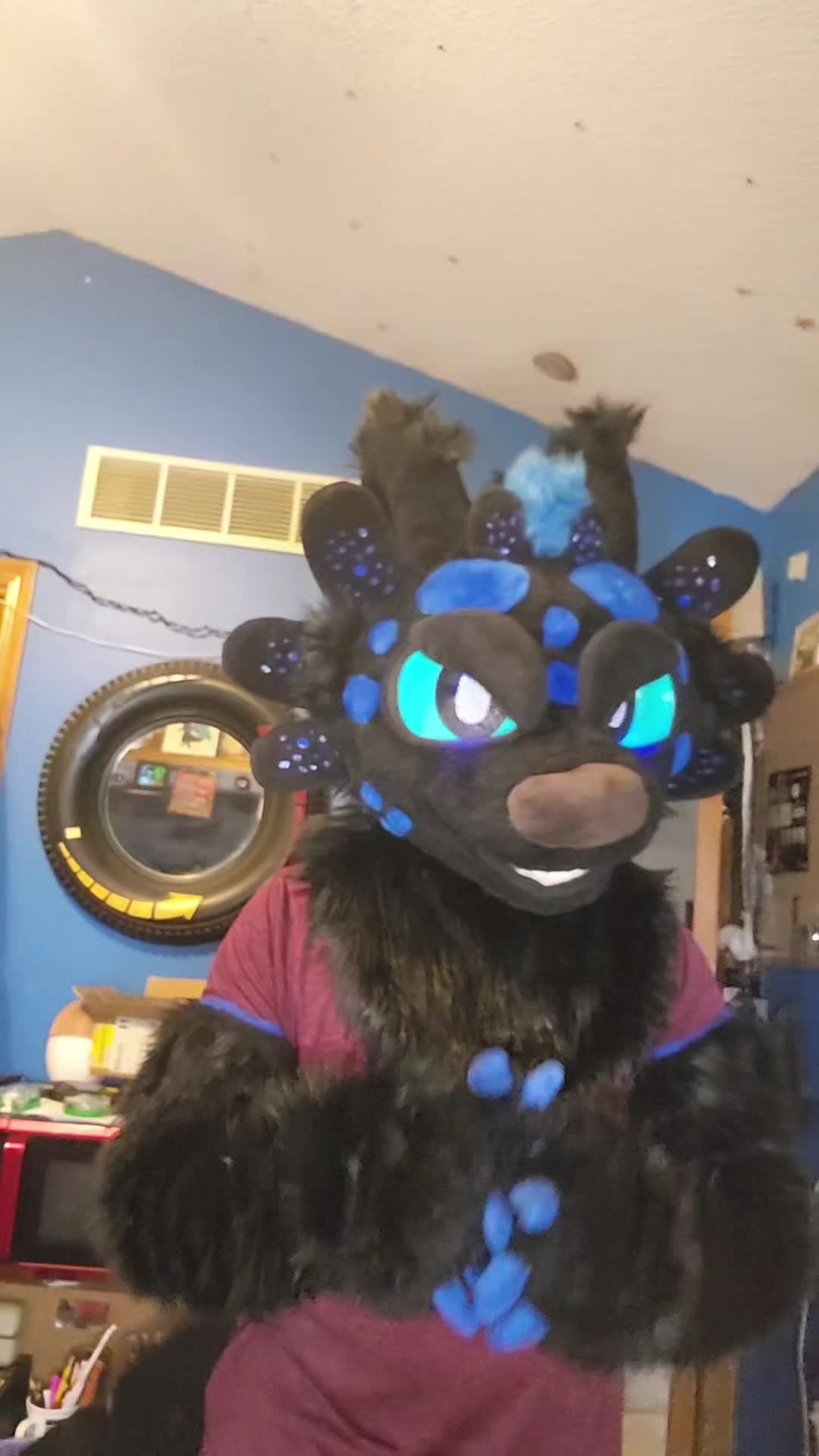 @DashTheNightFuryTaidum