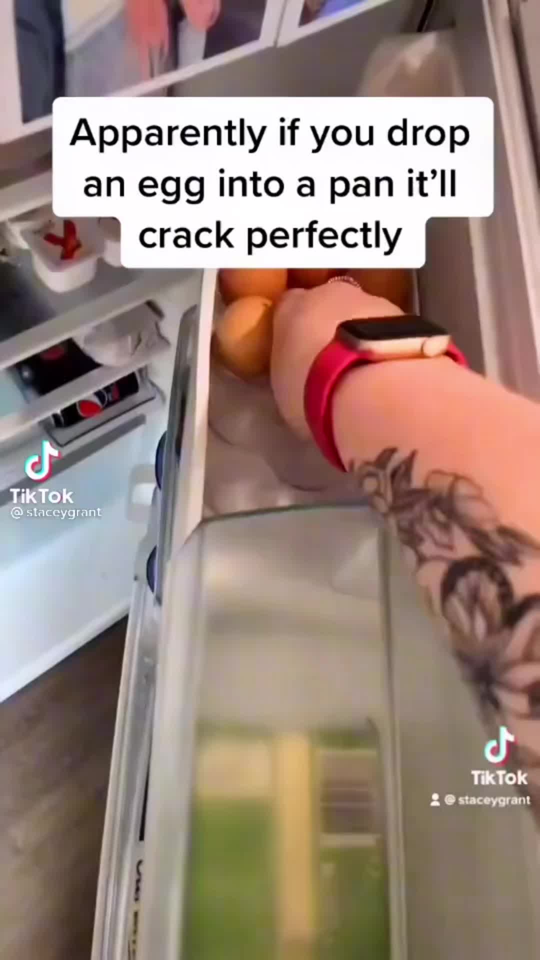@HowToBasic