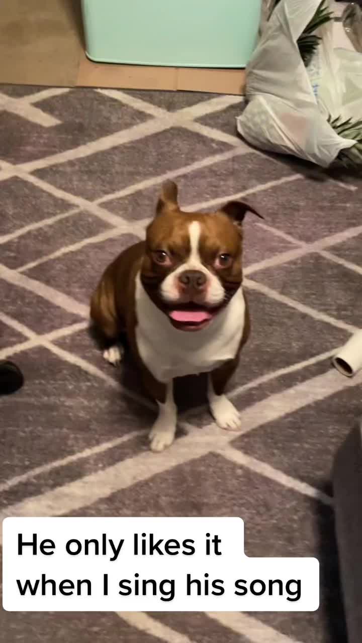 @zessteboi