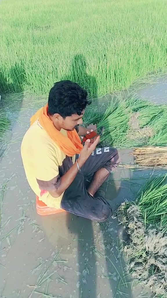 @Gopi Mand
