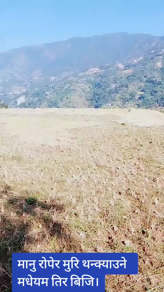 @dipak karki