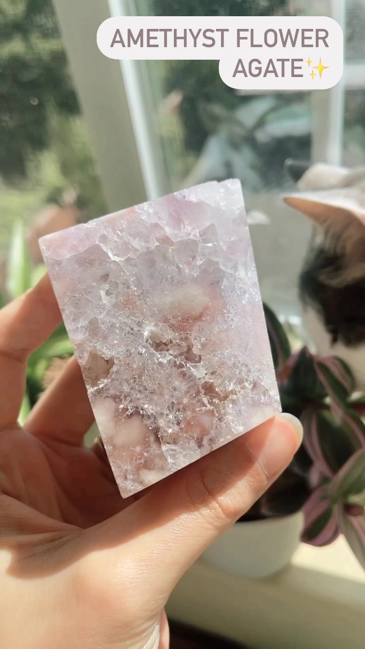 @Witchy Kitty Crystals