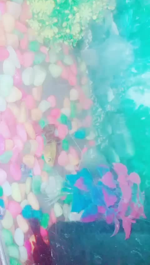 @❤CHINNU_AMMU143❤