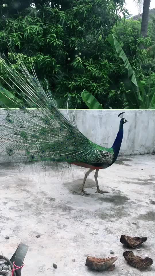 @Byju369