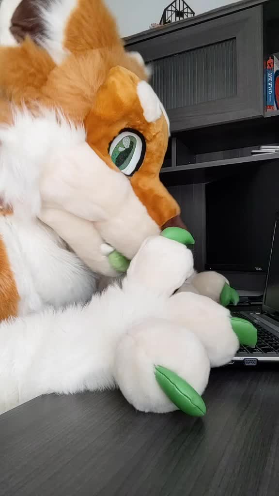 @CookieShiba