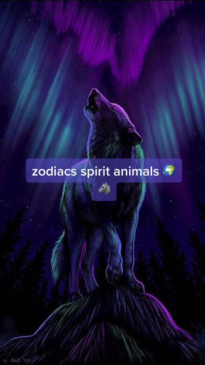 @daily zodiacs ✨🤍