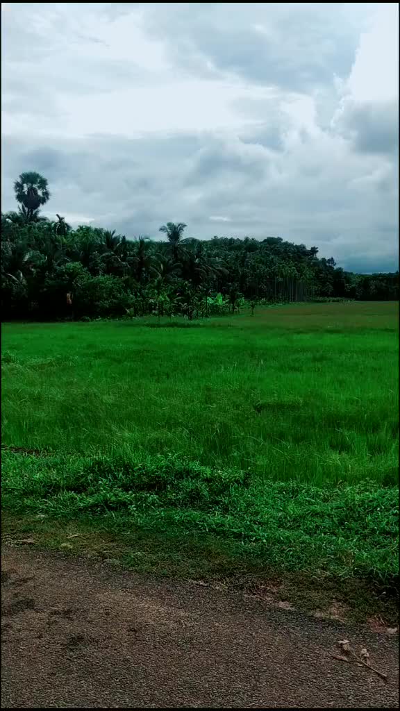 @3734