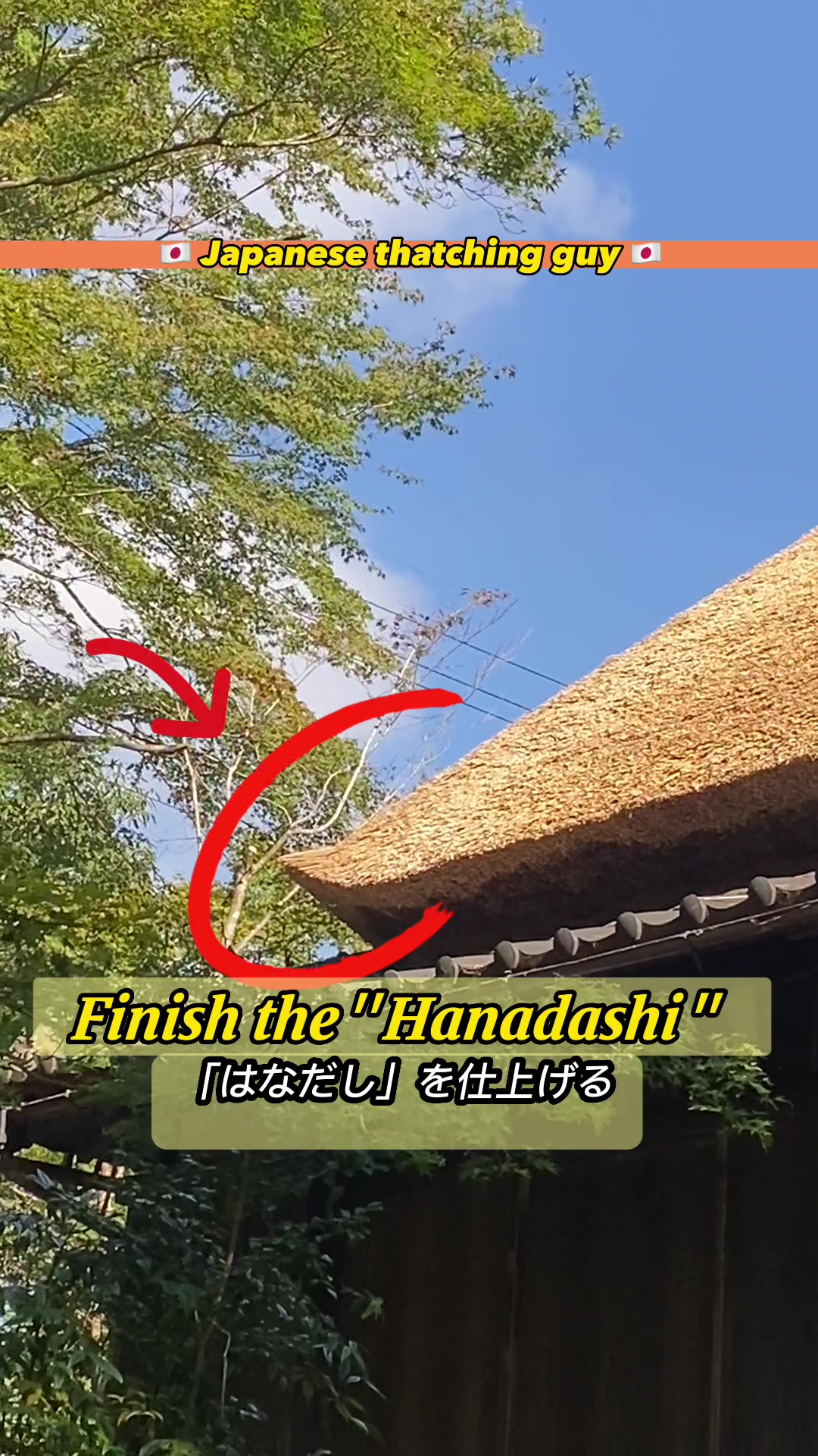 @Japanesethatchingguy