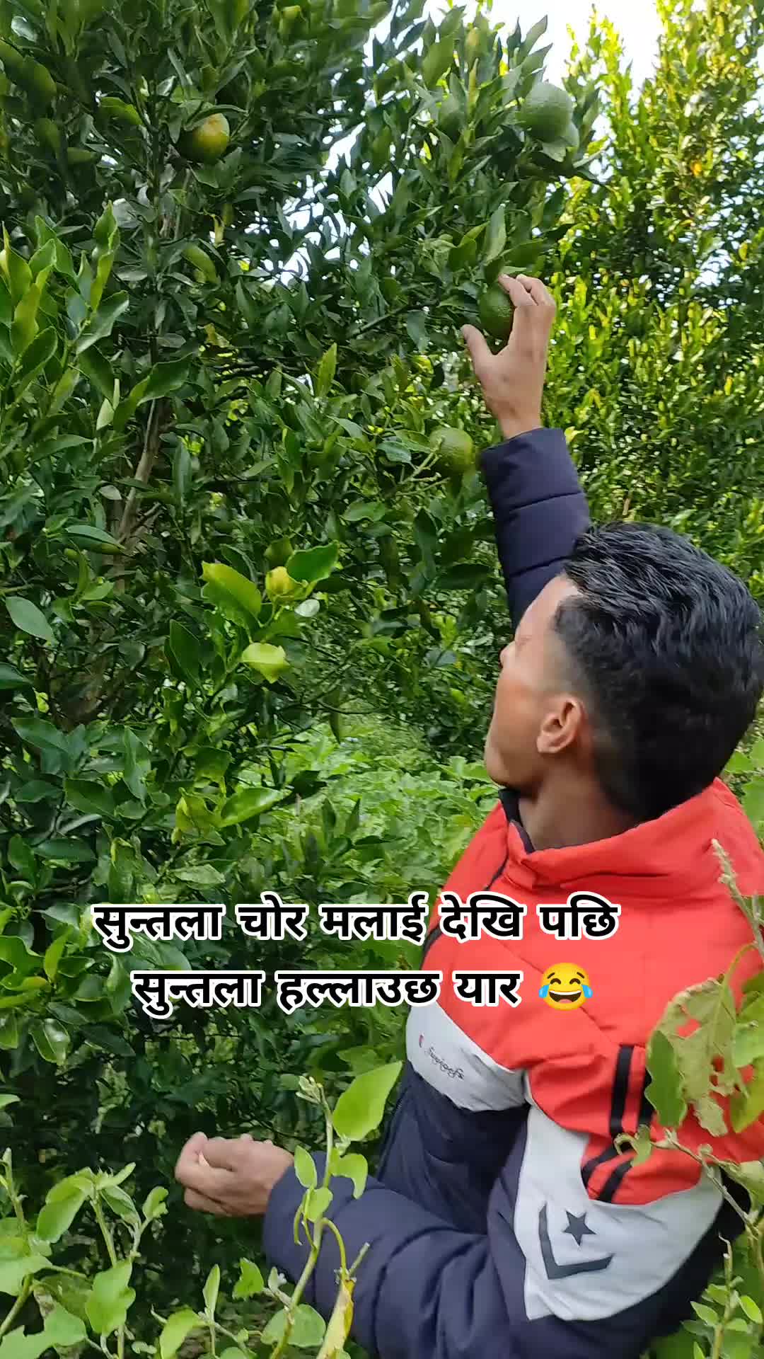 @Lokendra Khadka