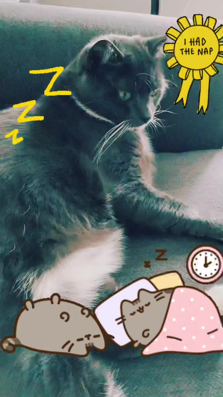 @Grayartcat