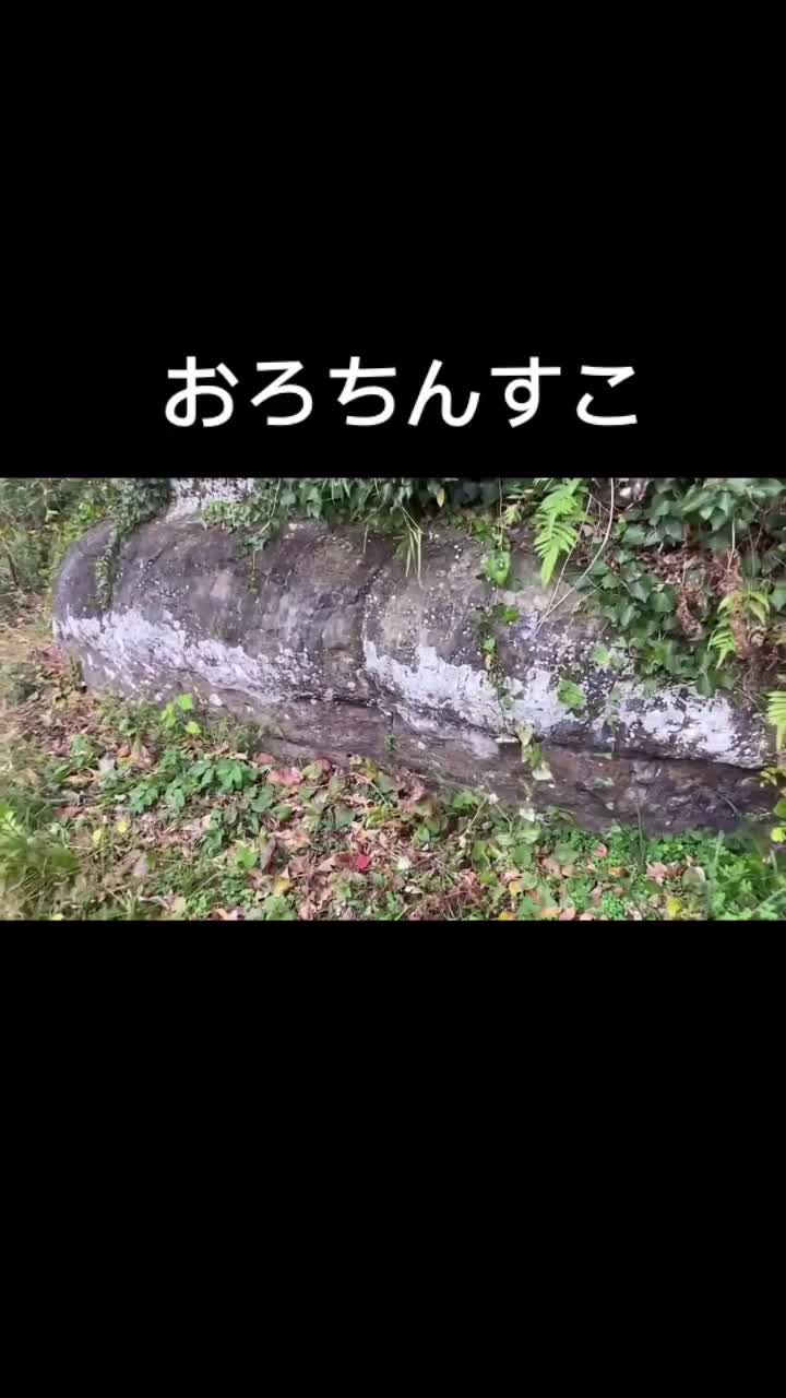@矢理羅府位