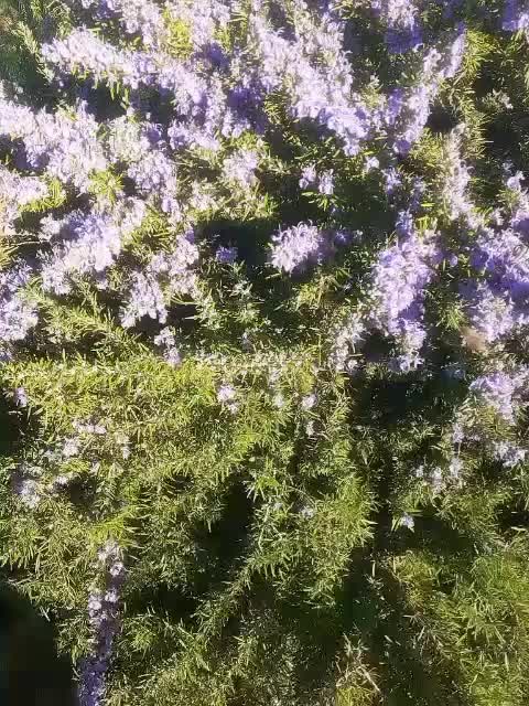 @user663452078166