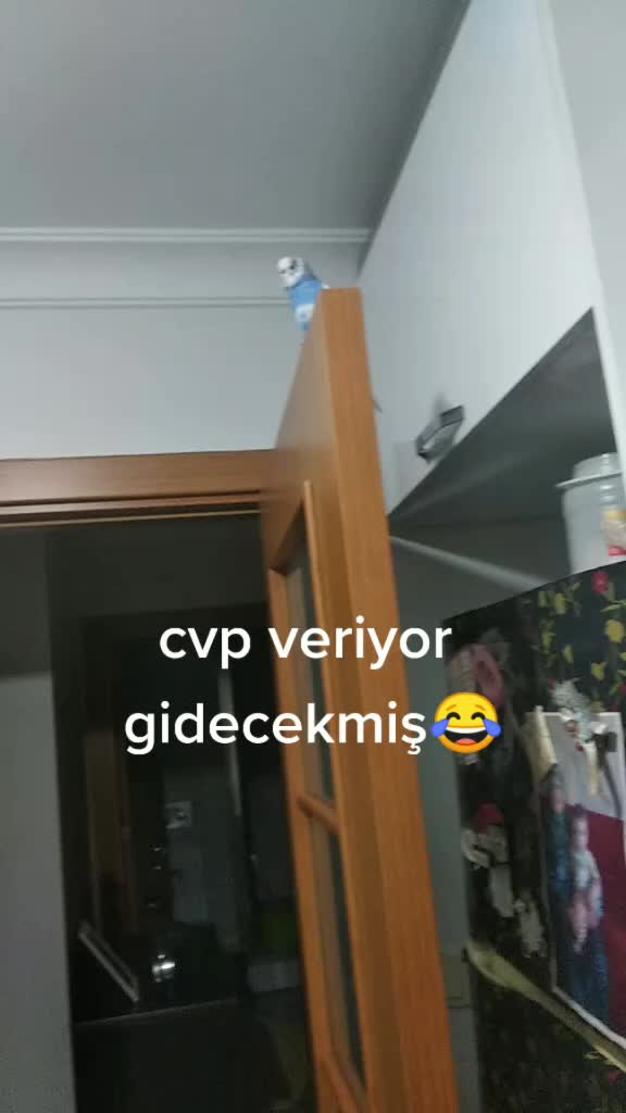 @aynura -💞sami kral💕