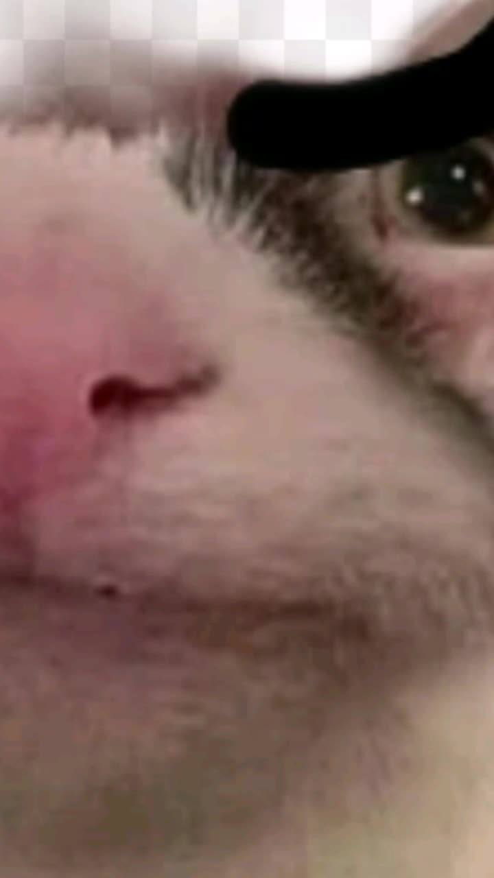 @woaaah