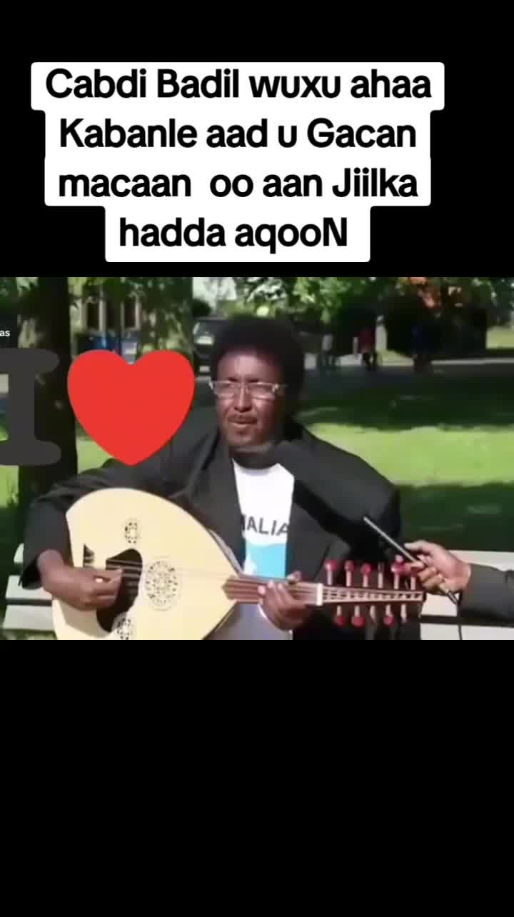 @Mr Hami-Zare