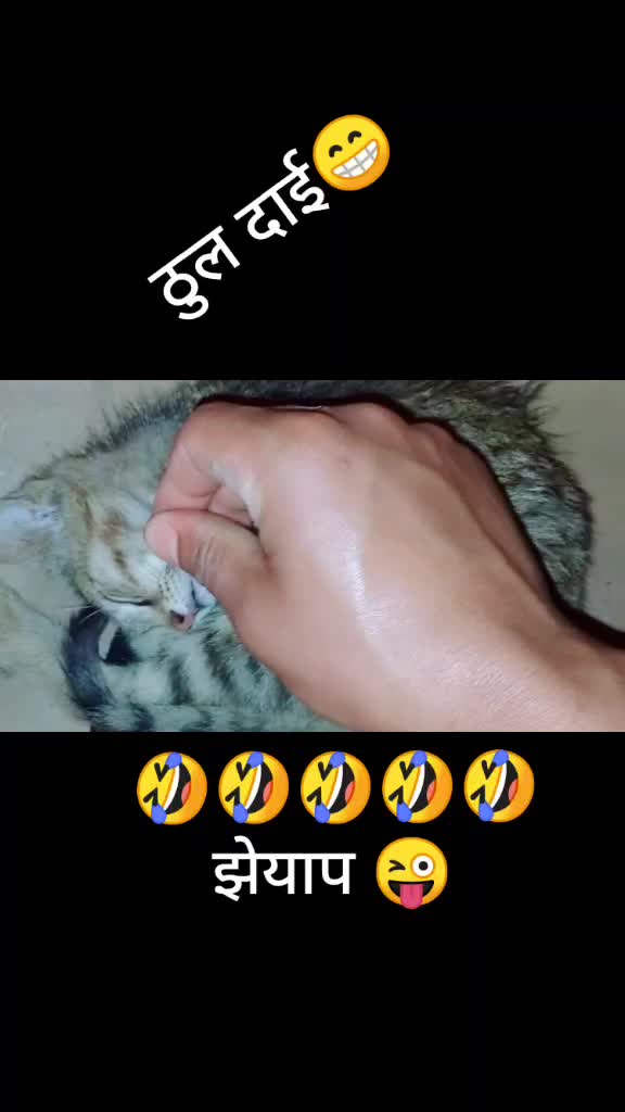 @मिस्टर डि ❤️❤️