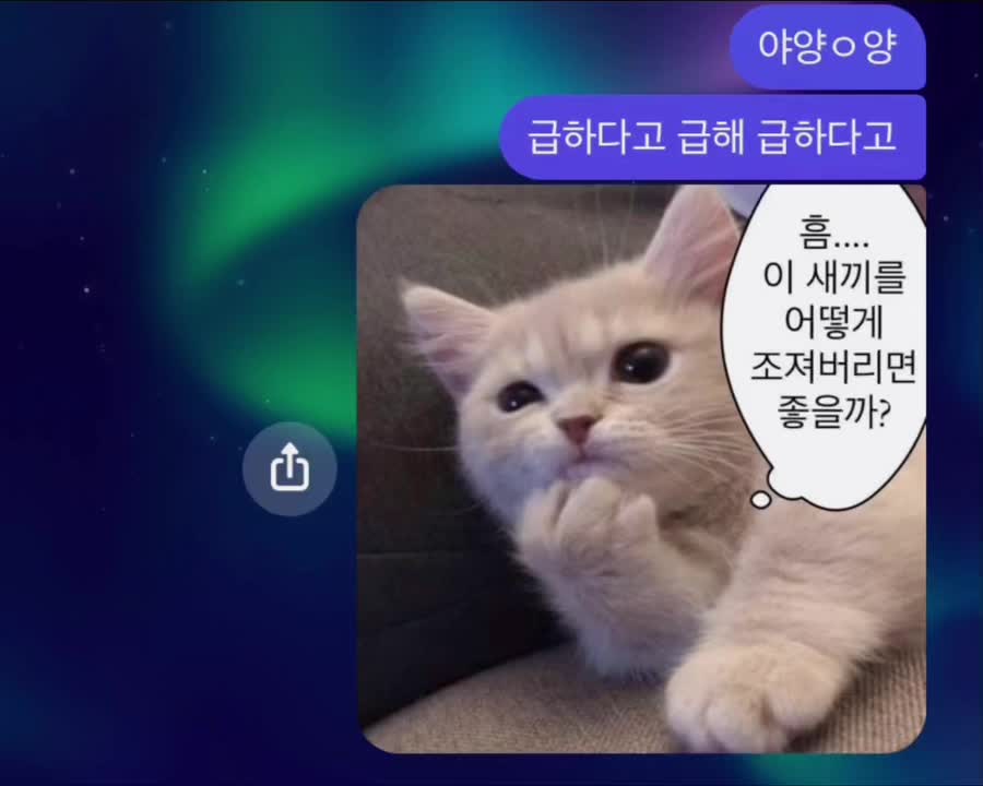 @조언이 필요한 여자