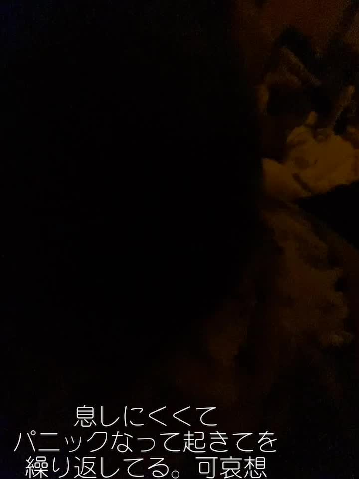 @ãã°ããðŸð@ãŽãŽãŽ