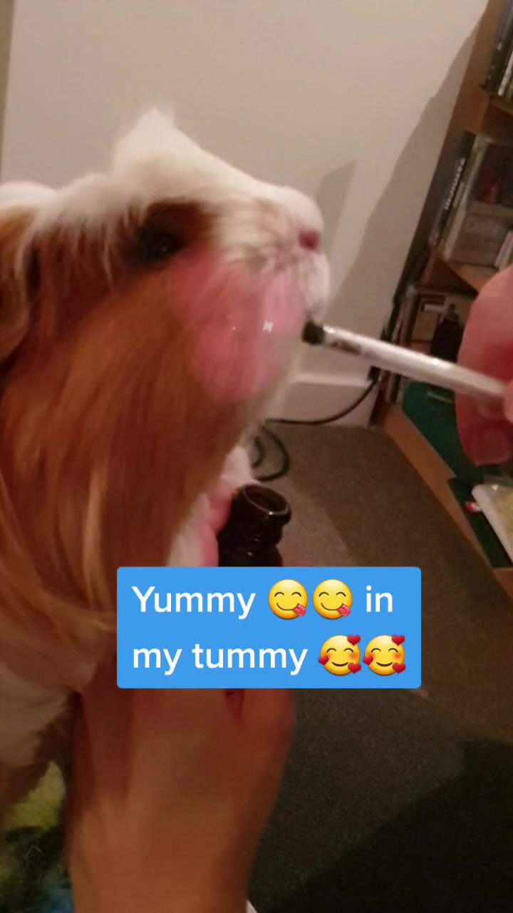 @Piggymassage