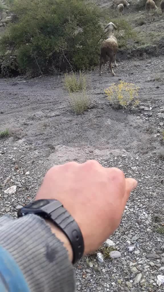 @Furkan STLMŞ 03