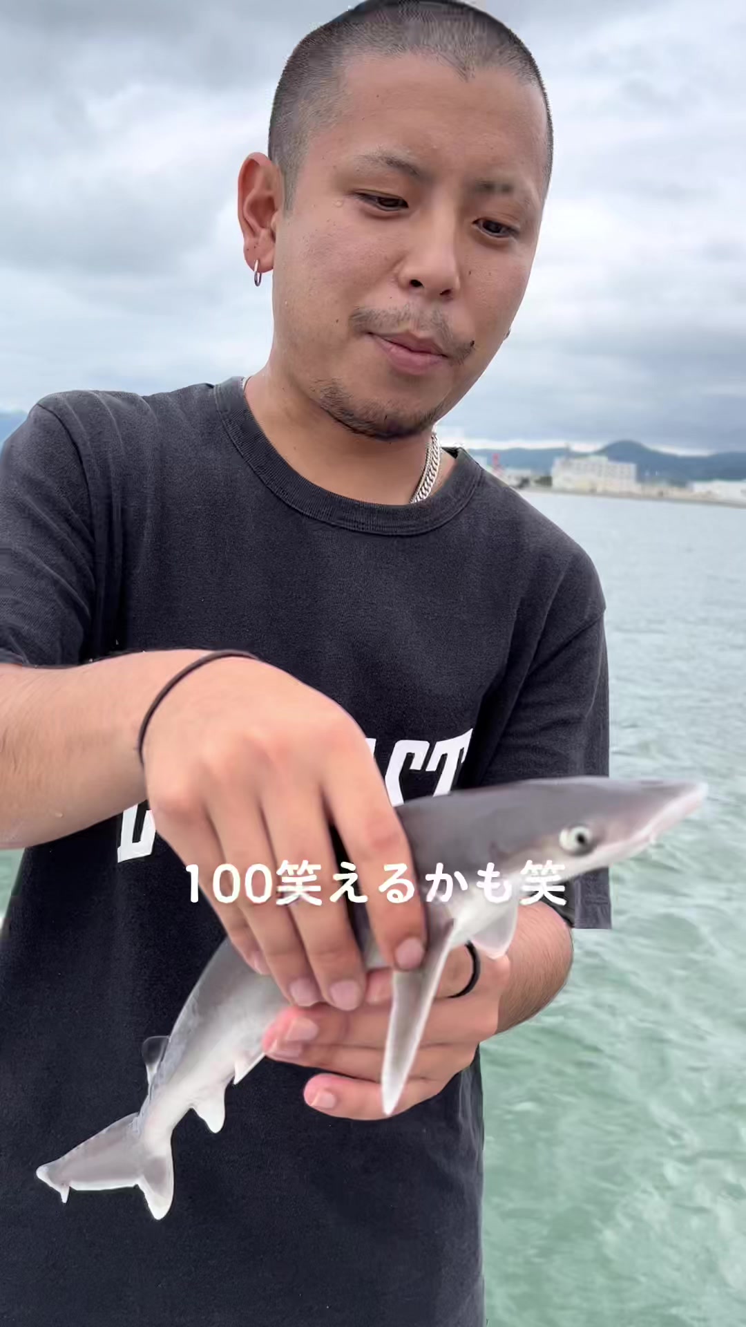 @tsyブルーベリー