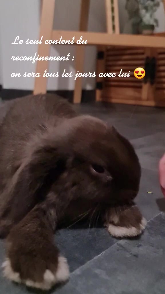 @Odin_le_lapin