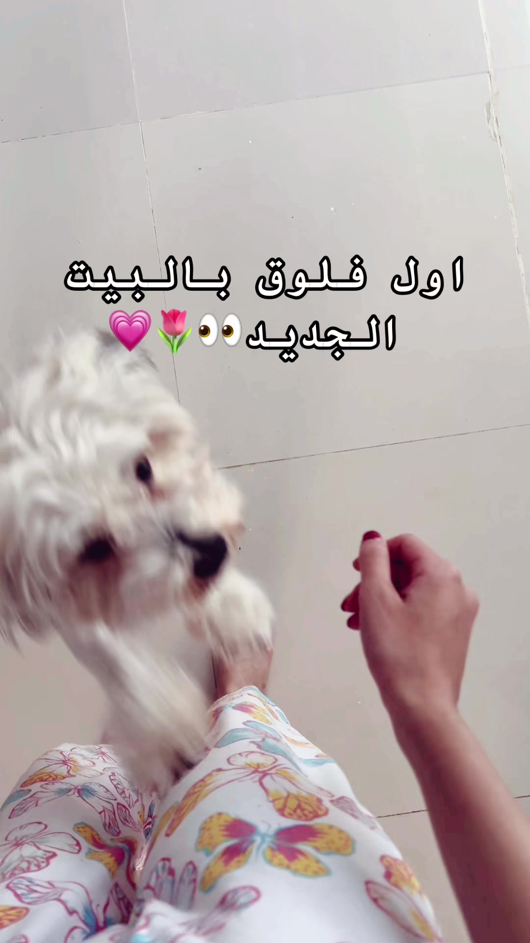 @RNO🪞🦋